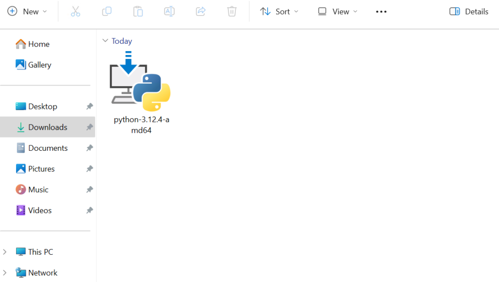 python-install-in-downloads-folder